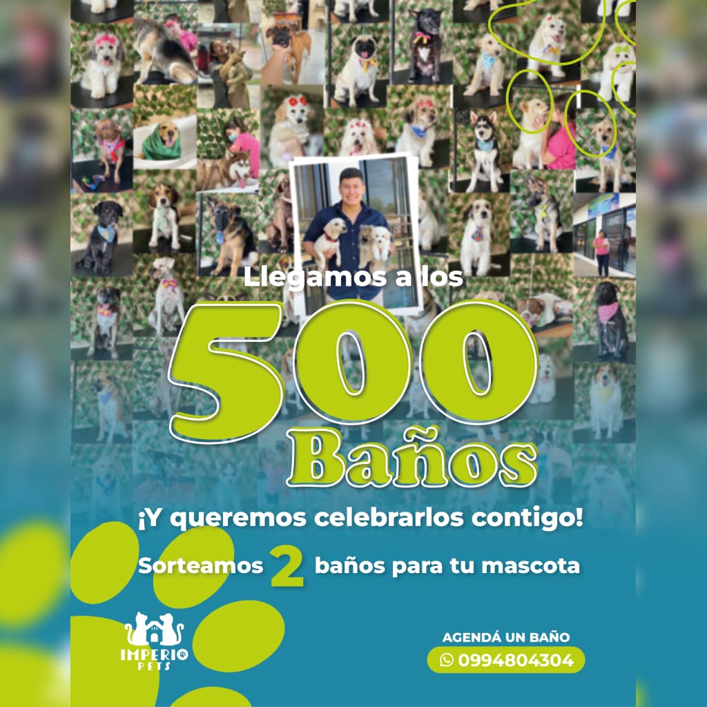 Perro y gato felices en el spa de Imperio Pets